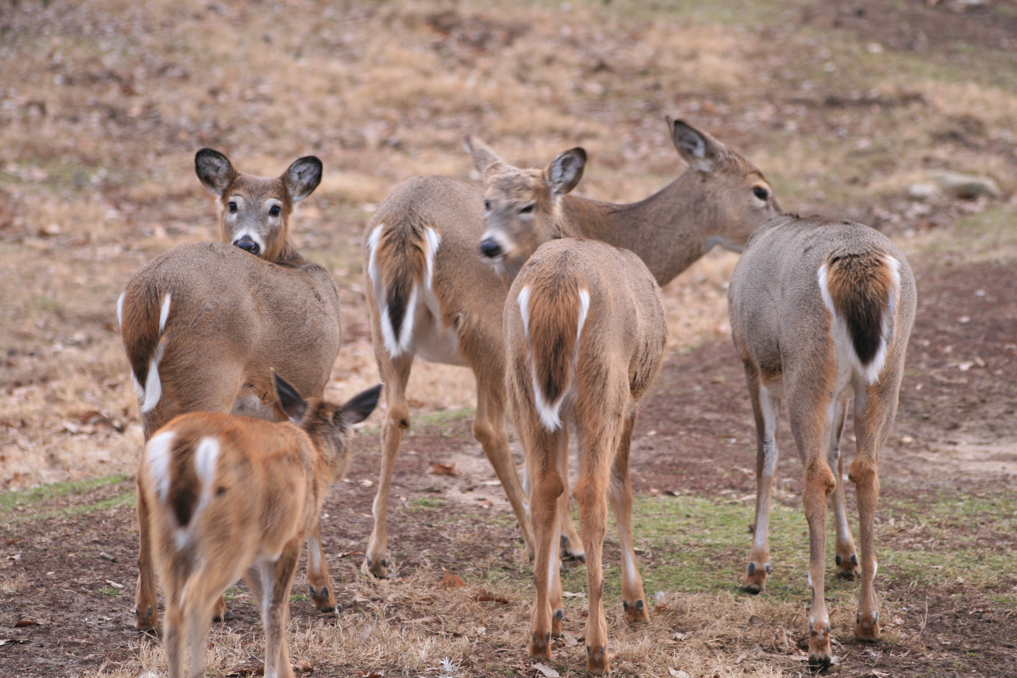 5 powerful cures for people pleasing